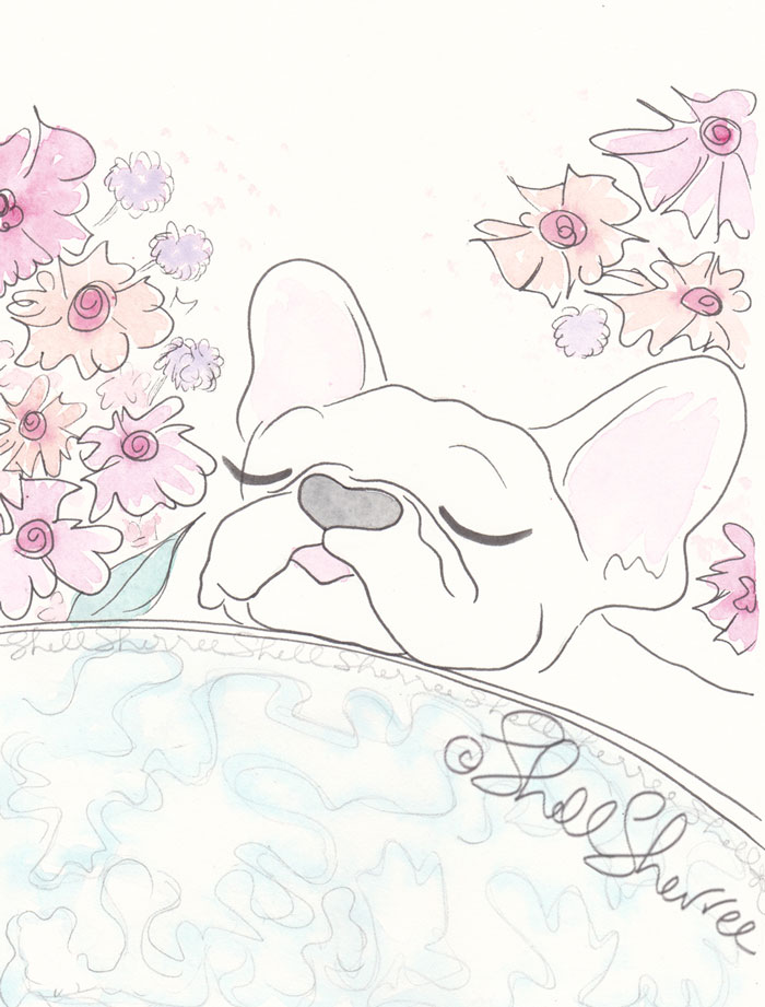 White Frenchie Peek-a-Boo french bulldog illustration  © Shell Sherree all rights reserved