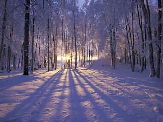 Winter wallpaper