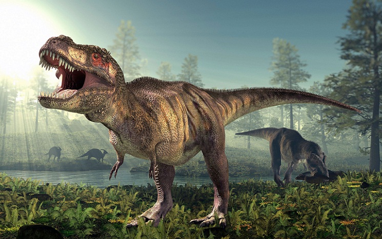 Apakah Tyrannosaurus-rex Rermasuk Pemakan Bangkai?