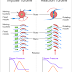 Working Principle of Impulse Turbines and Reaction Turbines.