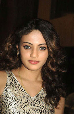 sexy south indian actress sneha ullal hot pics-pictures gallery