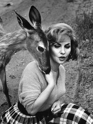 Gina Lollobrigida