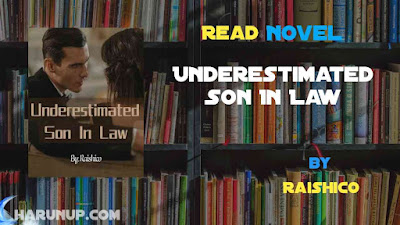 Read Underestimated Son In Law Novel Full Episode