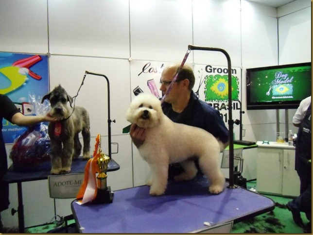 tosadobem02