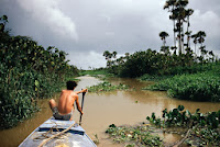 1) Amazon basin
