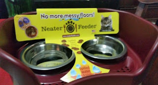 neater feeder and cat