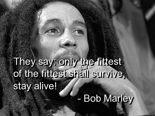 Love Quotes, Love Images, Sayings: Bob Marley Quotes