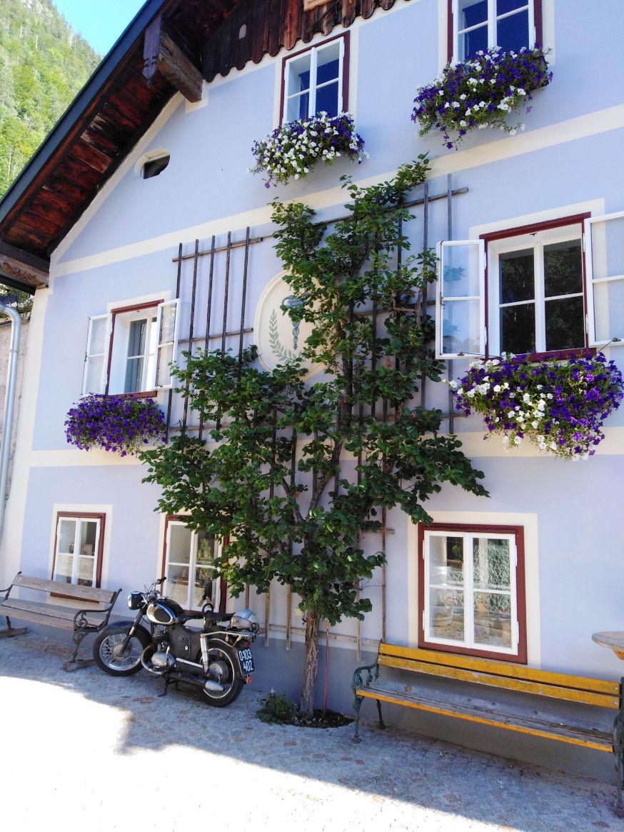 Plava austrijska kuća