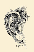 Le dessin final de l'oreille. dessin oreille humaine (dessin oreille humaine)