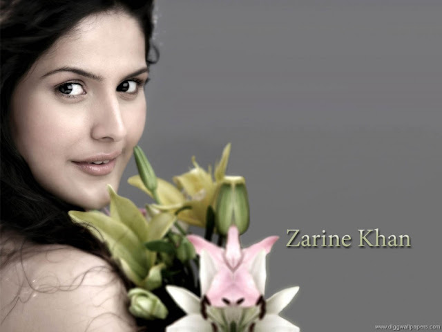 Zarine Khan HD Wallpaper Free Download