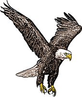 eagle clipart