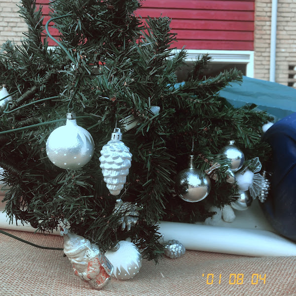Kerstboom met ballen en al in de container, Zevenaar, augustus 2021