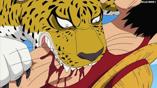 ワンピース アニメ エニエスロビー編 305話 ロブルッチ | ONE PIECE Episode 305 Enies Lobby