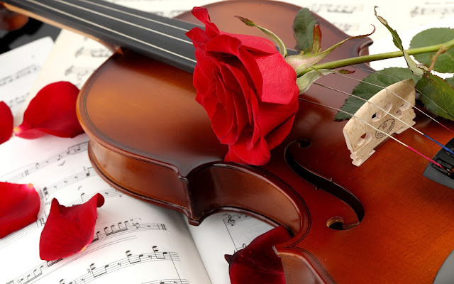 Guitar Red Rose Flower Wallpaper