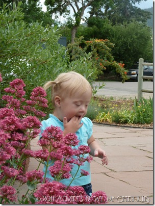 Baby Addy 028