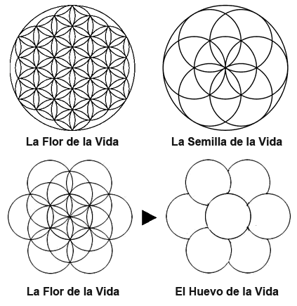 Resultado de imagen de la flor de la vida egipto