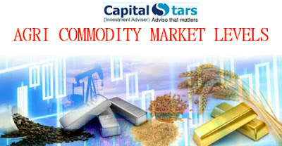 Agri commodity calls, Agri Commodity Tips, Free  Commodity Tips, Free Agri Tips, MCX Tips Services, mentha oil tips, 