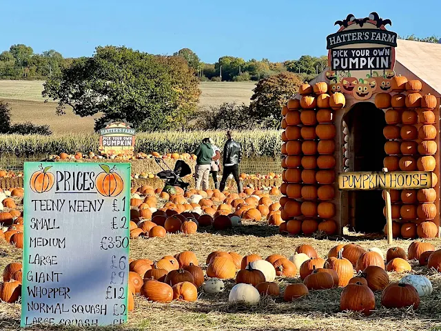 The Hatter's Farm Pumpkin House and a sign with the prices of the pumpkin and squash