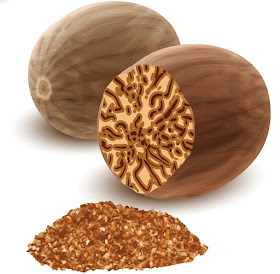 Artist's rendition of nutmeg and crossection of nutmeg, showing color striations and grated nutmeg spice.