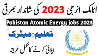 PAEC Jobs 2023 vulearning - Pakistan Atomic Energy Govt Vacancies - 202.83.172.179_