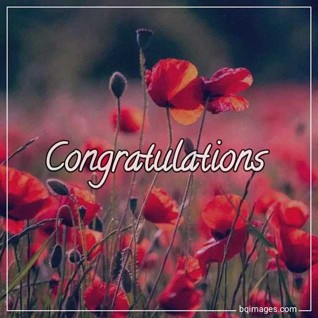 congratulations images free