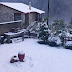 Τρίκαλα: Πυκνή χιονόπτωση στο Περτούλι – Τα πάντα ντύθηκαν στα λευκά