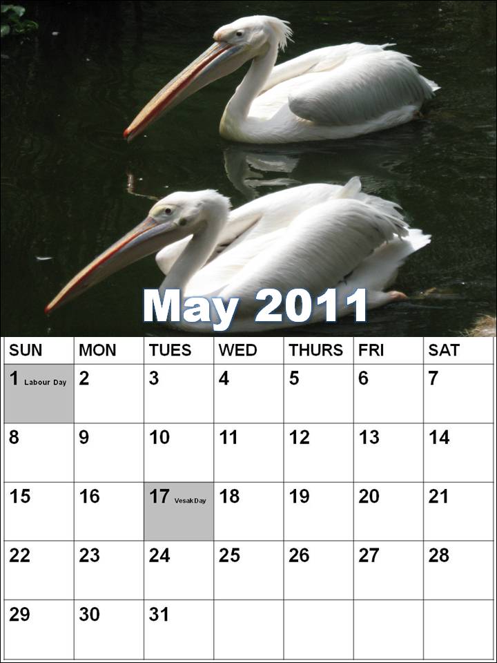 May+2011+calendar+canada may 2011 calendar canada with holidays. May+2011+calendar+canada