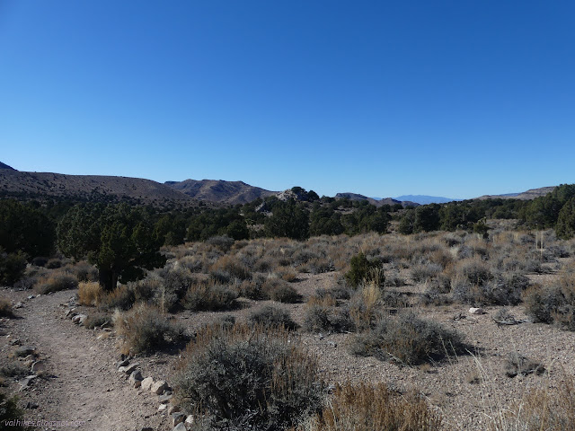 02: rock lined trail among the juniper