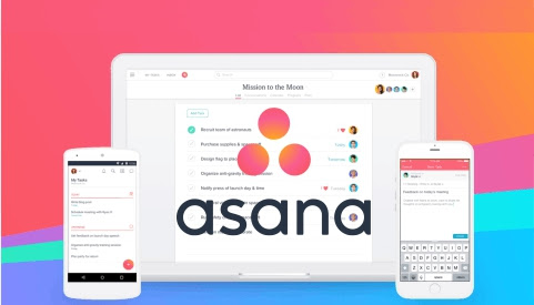 Asana Aplikasi untuk Manage Project, tool yang cocok untuk Content Creator