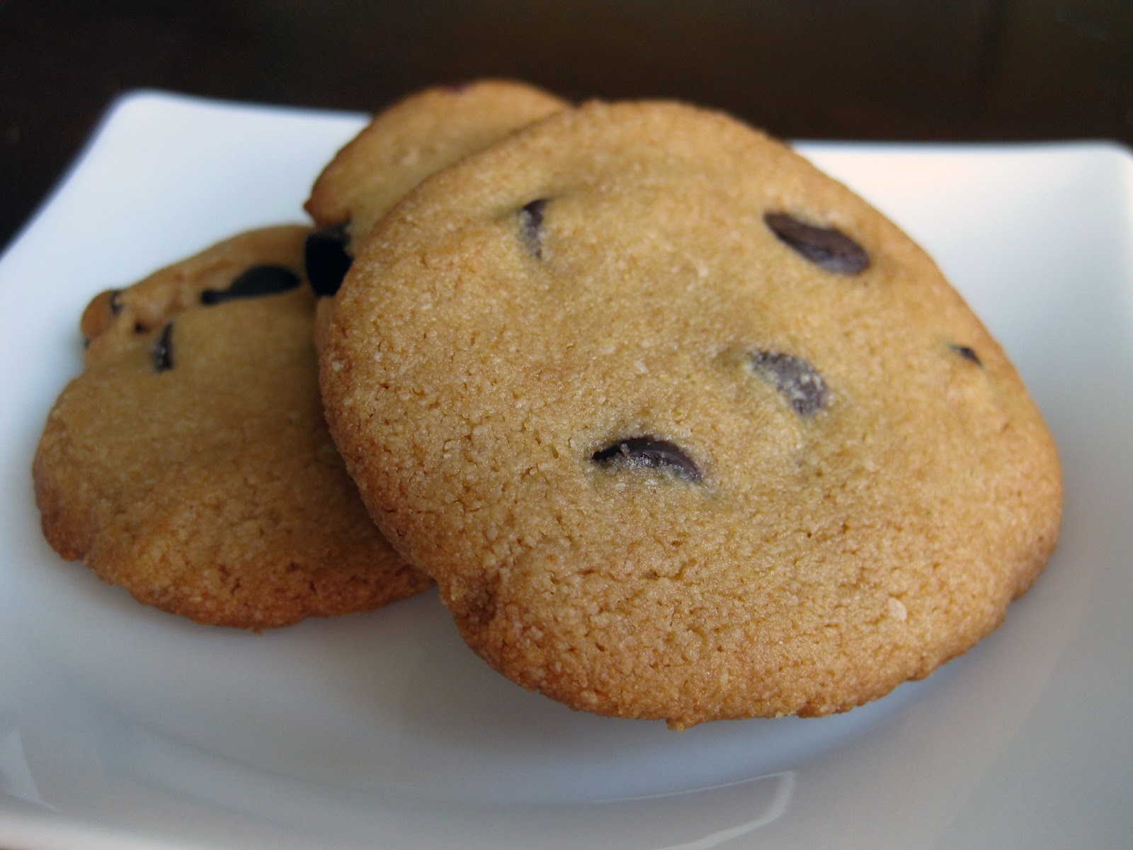 Delicious Paleo Chocolate Chip Cookie Recipe: paleo ...