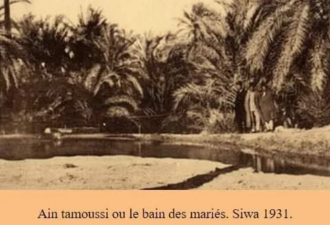 Ain el-Arais (Tamusa Spring) Siwa oasis