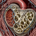 heart valve|heart valve name|heart valve disease|heart valve replacement|heart valve anatomy|heart valves location|healthy life