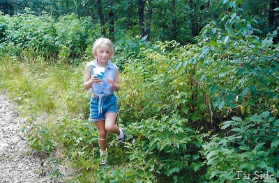 Savannah 2003