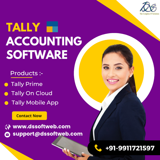 Tally Accounting Software Services