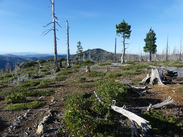 rock lined trail