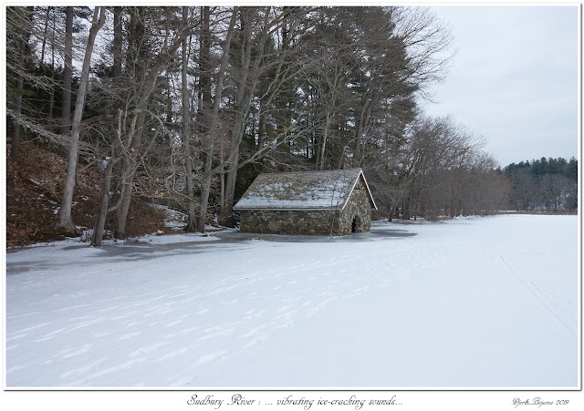 Sudbury River: ... vibrating ice-cracking sounds...