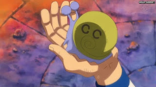 ワンピースアニメ パンクハザード編 582話 電伝虫 | ONE PIECE Episode 582