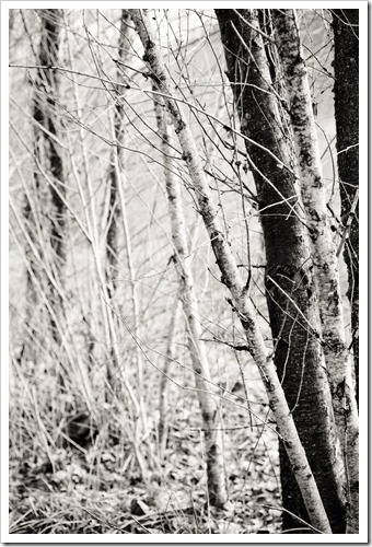 20130317-IMG_7144