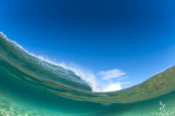 Matty Smith fotografia natureza na linha d'água over-under vida marinha luz