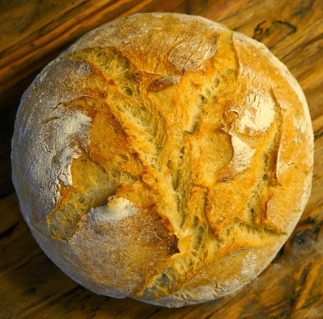 Roman-style Chicken, Rosemary Basic No-Knead Bread., 