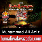 http://www.humaliwalayazadar.com/2015/10/ali-aziz-nohay-2016.html