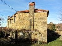 Trta nasproti vaške kantine