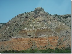 DSCN4960
