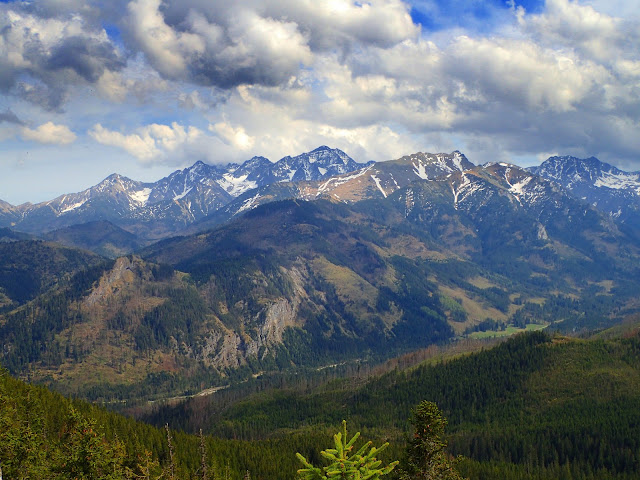 Widoki z Gęsiej Szyi (1489 m n.p.m.)