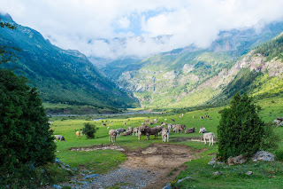 Imposer à la Suisse les normes européennes