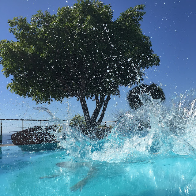 upper camps bay swimmingpool