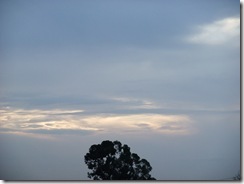DSCF2264