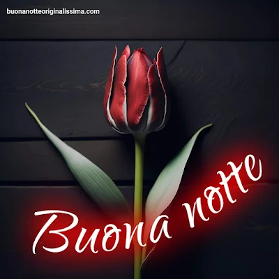 dolce buonanotte immagini recenti