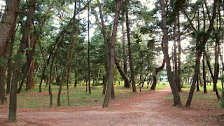 人文研究見聞録：別宮神社 ［福井県］