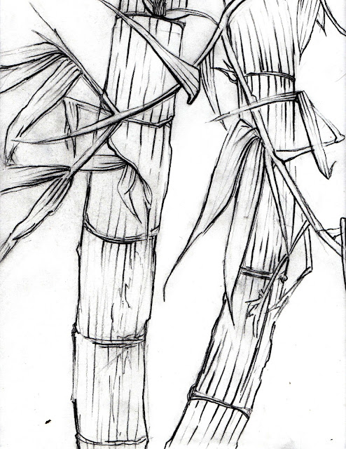 Bamboo Drawing6